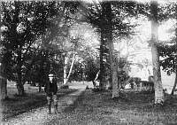AthgoeGarden1896.jpg