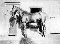 ritaandHorse.jpg